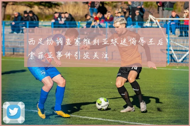 西足协调查塞维利亚球迷侮辱王后索菲亚事件引发关注