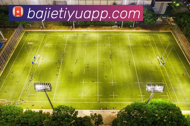 App Interface Preview